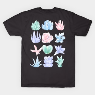 Illustration Plants Colorful Succulent Graphic Leaf Garden T-Shirt